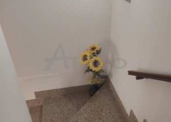 5882bba6-4066-43f6-812e-71ba9bcb1d3a.jpeg - Terraced Villa Sarzano RO, Rovigo - photo 8
