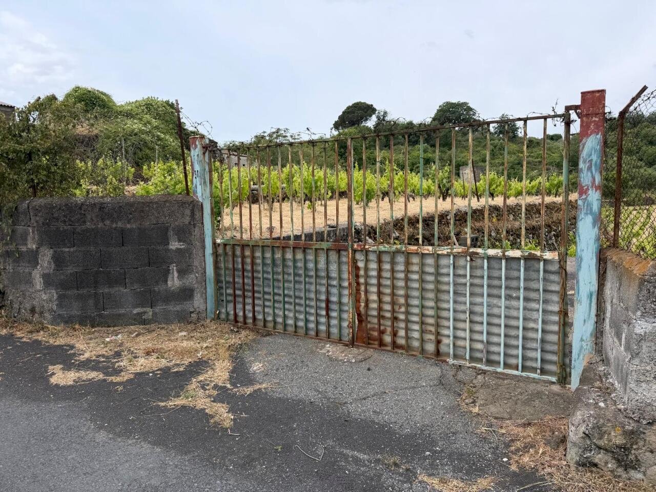 WhatsApp Image 2026-05-19 at 21.01.43(2) - Terreno agricolo Tremestieri Etneo - foto 2