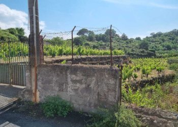 WhatsApp Image 2026-05-19 at 21.02.01 (6) - Terreno agricolo Tremestieri Etneo - foto 16
