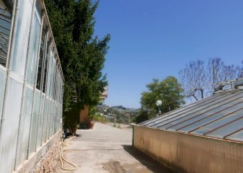 Villa Strada Vicinale Costa Fallita, Sanremo - foto 8