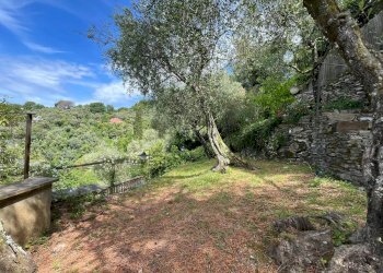 Giardino - Villa Via San Bernardo, Zoagli - photo 25