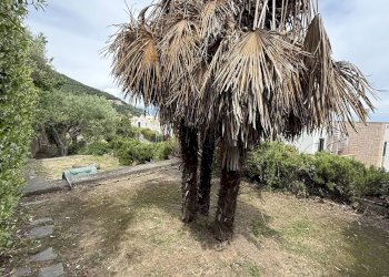 Apartment Via Pian dei Rossi, Bergeggi - photo 20