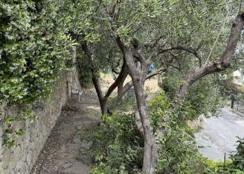 Apartment Via Pian dei Rossi, Bergeggi - photo 25