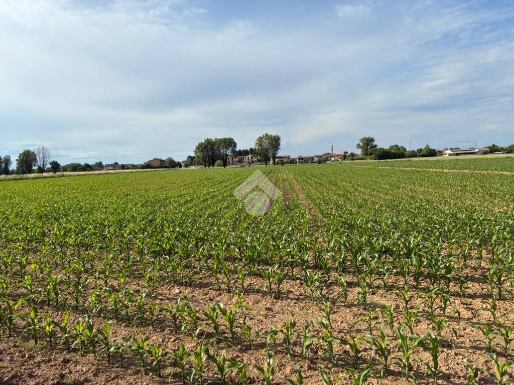 Agricultural land Via Milano, Corbetta - photo 1