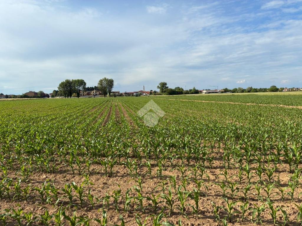 Agricultural land Via Milano, Corbetta - photo 2