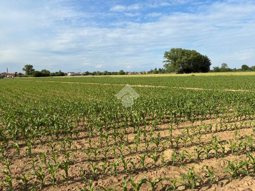 Agricultural land Via Milano, Corbetta - photo 3