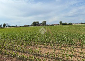 Agricultural land Via Milano, Corbetta - photo 1
