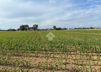 Agricultural land Via Milano, Corbetta - photo 2