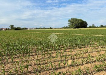 Agricultural land Via Milano, Corbetta - photo 3