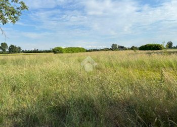 Agricultural land Via Milano, Corbetta - photo 8