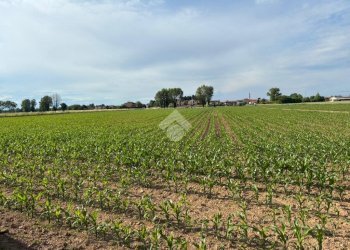 Agricultural land Via Milano, Corbetta - photo 9