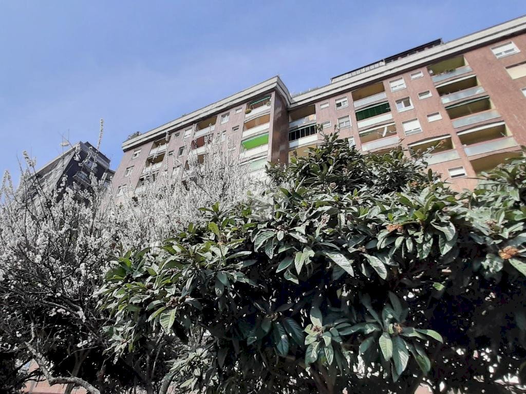 Monolocale Via romagna, Cinisello Balsamo - foto 3