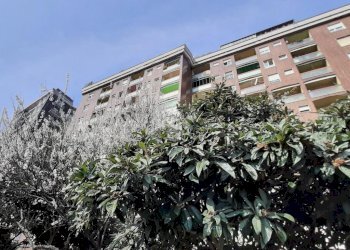 Monolocale Via romagna, Cinisello Balsamo - foto 3