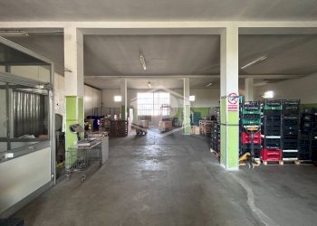 Capannone Via Sant'Antonio da Padova, Copparo - foto 6