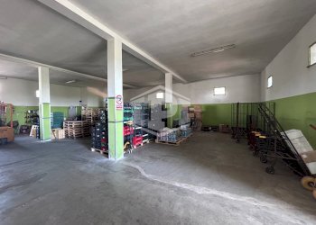 Capannone Via Sant'Antonio da Padova, Copparo - foto 8