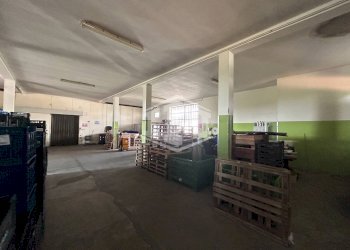 Capannone Via Sant'Antonio da Padova, Copparo - foto 9