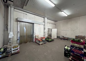 Capannone Via Sant'Antonio da Padova, Copparo - foto 12