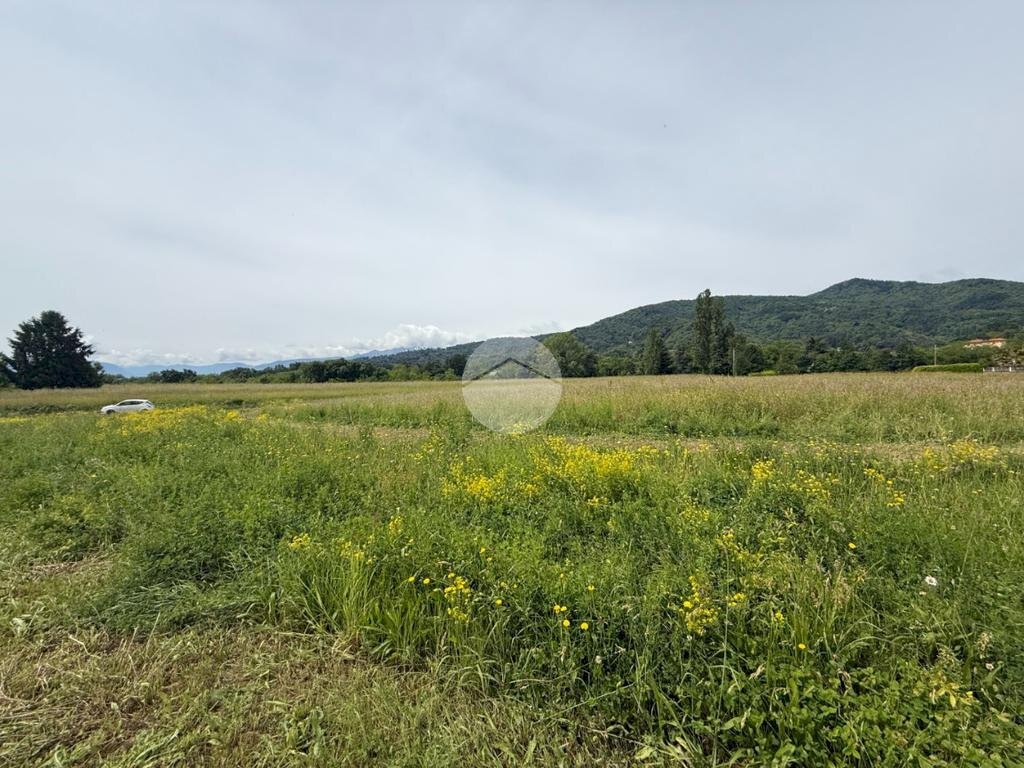 Terreno agricolo Via Lombarda, San Secondo di Pinerolo - foto 2