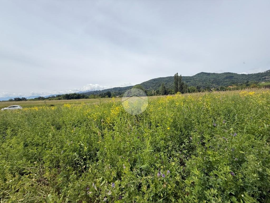 Terreno agricolo Via Lombarda, San Secondo di Pinerolo - foto 3