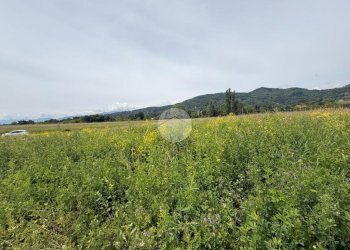 Terreno agricolo Via Lombarda, San Secondo di Pinerolo - foto 3