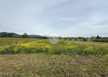Terreno agricolo Via Lombarda, San Secondo di Pinerolo - foto 5