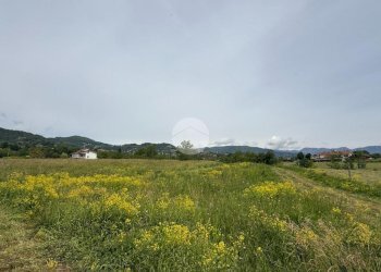 Terreno agricolo Via Lombarda, San Secondo di Pinerolo - foto 6