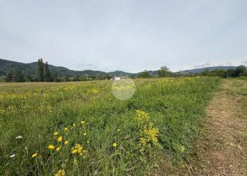 Terreno agricolo Via Lombarda, San Secondo di Pinerolo - foto 8
