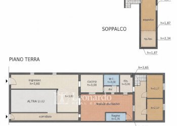 Foto 2 - Appartamento via Coppino, Viareggio - foto 2