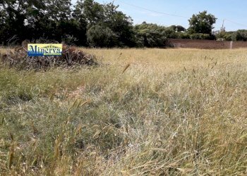 Foto 1 - Building land via di colle cocchino, Anzio - photo 1