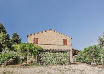 Foto 3 - Rustic contrada cantagallo
 
2, Altidona - photo 3