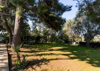 Foto 8 - Villa STRADA PEZZE DEL SOLE
 
11/A, Bari - foto 8