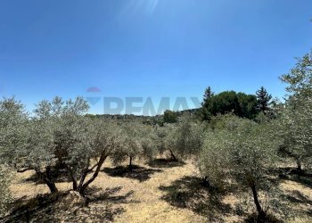 Vista delle montagne - Villa Contrada Niscima
 
snc, Caltanissetta - photo 21