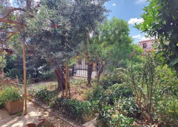 Giardino - Villa Via Alloro
 
13, Carini - foto 4