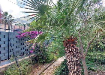 Giardino - Villa Via Alloro
 
13, Carini - foto 27