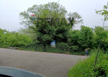 Giardino - Terreno agricolo contrada Passo Cavallo
sn, Sant'Alfio - foto 31