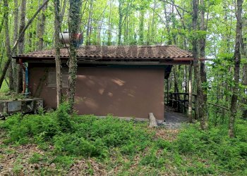 Casa all\'aperto - Terreno agricolo contrada Passo Cavallo
sn, Sant'Alfio - foto 36