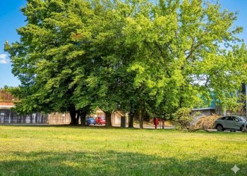 Giardino - Ufficio Piazzale Schumm, Alpignano - foto 31