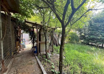 Giardino - Casa indipendente Via Calzen
 
39, Fonzaso - foto 27