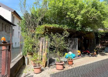 Giardino - Casa indipendente Via Calzen
 
39, Fonzaso - foto 32
