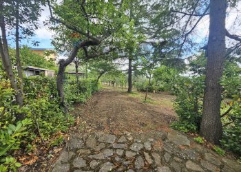 Giardino - Terreno edificabile Consortile Vitulanese, Foglianise - foto 1
