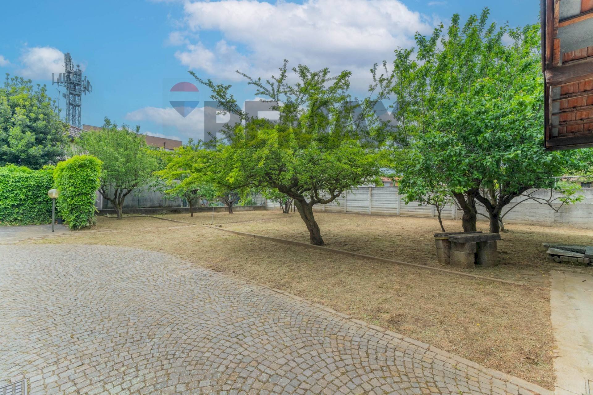 Giardino - Villa via foro san martino
25, Cassano Magnago - foto 3