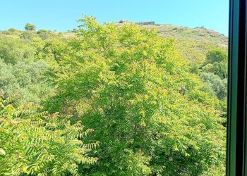 Foto 7 - Bilocale VIA PRIVATA, Monte Argentario - foto 7