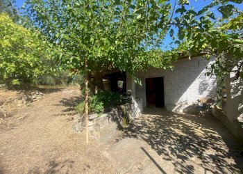 Giardino - Independent house Formia - photo 1