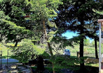 Giardino - Casa indipendente MANDRIA DEL CONTE/PIANO ZUCCHI
 
s/n, Isnello - foto 9