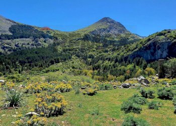 Vista delle montagne - Casa indipendente MANDRIA DEL CONTE/PIANO ZUCCHI
 
s/n, Isnello - foto 47