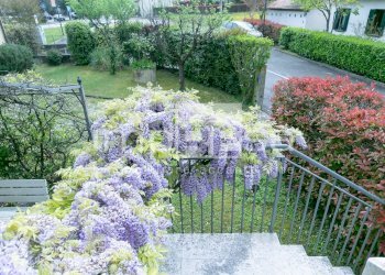Foto 10 - Trilocale VIA CELLA
 
1, Chiarano - foto 10