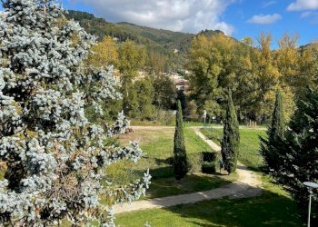 Foto 47 - Terraced Villa Via Arcangelo Giani
 
37, Dicomano - photo 47