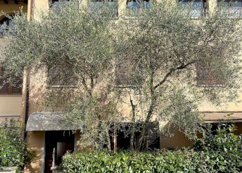 Foto 53 - Terraced Villa Via Arcangelo Giani
 
37, Dicomano - photo 53