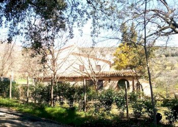 Terreno - Rustic SP6, Calvi dell'Umbria - photo 4