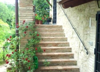 Scala - Rustic SP6, Calvi dell'Umbria - photo 5